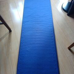 【あげます】ＴＨＥＲＭＡＲＥＳＴ　サーマレスト　寝袋　シュラフ