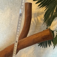 オブジェ？の画像