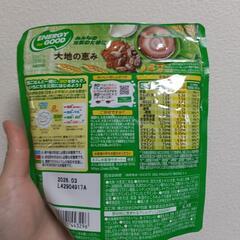 【お譲り先決まりました】ミロの画像