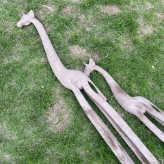 きりんのオブジェ　庭の画像