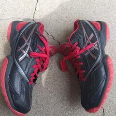 asicsの画像