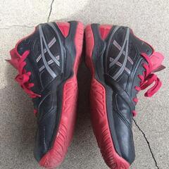 asicsの画像