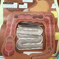 漢字辞典や地球の本、体のまるみえずかん　5冊の画像