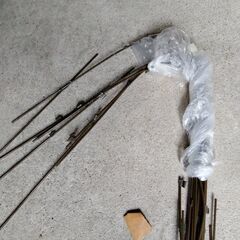 胡蝶蘭の支柱　詳細不明の画像