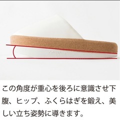 スリエット　体幹スリッパ　4足セットの画像