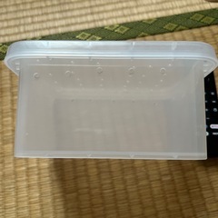 ミニコンテナ ダイソーの画像