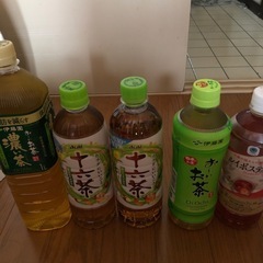 お茶　6本