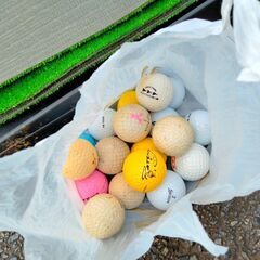 【値下げ　６月末処分価格】つるやターンパット　パット練習　ゴルフ　ロストボールありの画像