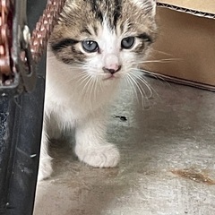 生まれたばかり