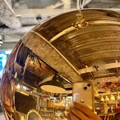 【武蔵小山店】Kartell カルテル SMALL FL/Y スモールフライ カッパー ペンダントライト 吊り下げ照明 天井照明 メタリック 照明器具 デザイナーズ照明 フェルーチョラヴィアーニ イタリア製 モダン照明 高級照明 インテリアライト おしゃれ照明 ラグジュアリーライト カフェ風照明 店舗照明 吊りライトの画像