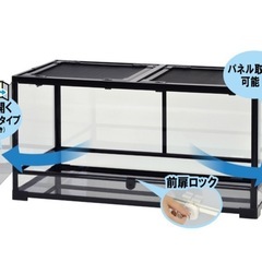 【受渡し待ち】パンテオン カノン 9045の画像