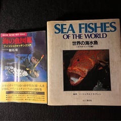 海水魚図鑑 アクアマリン 珊瑚礁　