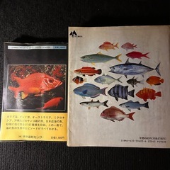 海水魚図鑑 アクアマリン 珊瑚礁　の画像