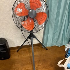 大きなファン
