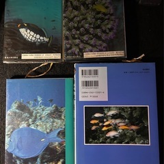 海水魚図鑑 アクアマリン 珊瑚礁　  の画像