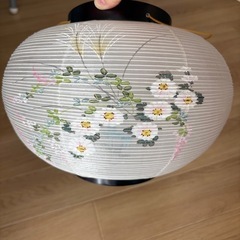本場岐阜　大内行灯　オゼキ　二重菊に桔梗10号　桜【簡灯】