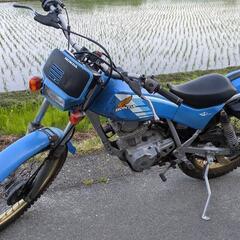 TL125 実動 JD06 ホンダの画像