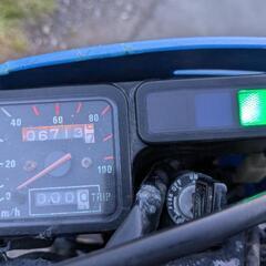 TL125 実動 JD06 ホンダの画像
