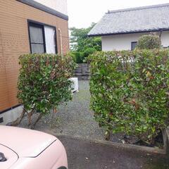 草取り、草刈り、伐採やってます✮ - 久留米市