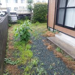 草取り、草刈り、伐採やってます✮ − 福岡県