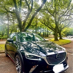 マツダCX-3  6MT！XD PROACTIVE プロアクティブ！車検付き！低走行！希少車！ディーゼル車！早期取引値下げ可能！の画像