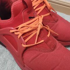 【超値引き】PUMA スニーカーの画像