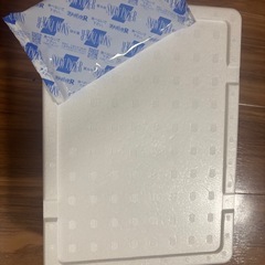 発泡容器 保冷剤付き
