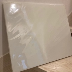 無地キャンバス　Ｆ10号サイズ　ア-ト 絵画　送料込み　新品　風...