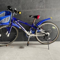 プリヂストン　キッズ自転車