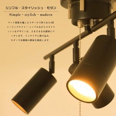 シーリングライト　スポットライト　マットブラックの画像