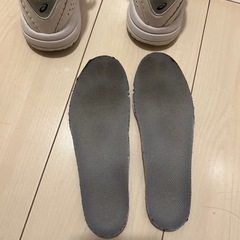 バッシュ　ダンクショット　20.0の画像