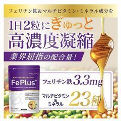 Fe Plus フェリチン鉄 3.3mg × 鉄分 × マルチビタミン サプリ 贅沢配合 栄養機能食品 23種配合 高濃度凝縮の画像