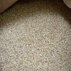お裾分け🍚玄米５kg