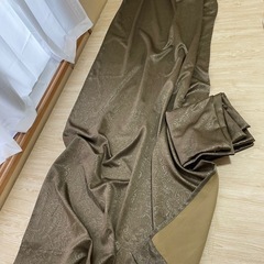 1級遮光カーテン 250cm×100cm 2枚セット