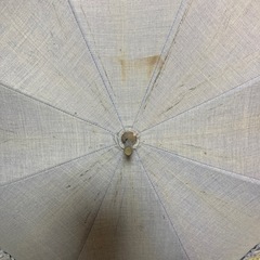 日傘　レディース　フリルの画像