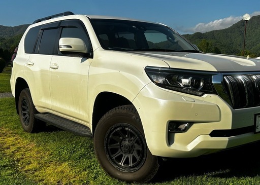 265/65-R17 
LEGULESアルミ付き