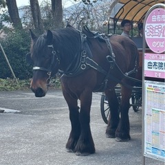 全国メンタルグルメンバー募集