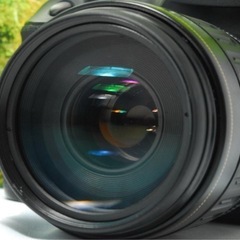 ✨月明りの暗闇でも撮影ができる✨Canon EOS 6D✨フルサイズ機✨動画OKの画像