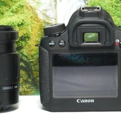 ✨初めての中級機に✨Canon EOS 6D✨Wi-Fi対応✨軽量でも堅牢な造りの画像