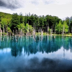 OLYMPUS  一眼レフカメラ(美品)の画像