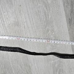 【USED】犬のお散歩リードの画像