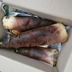 6ー感動もう一度チュクスン　