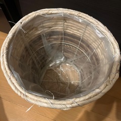 鉢の画像