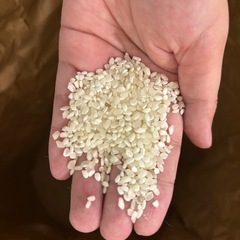 米　17kgほど