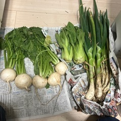 野菜