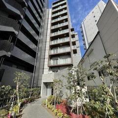 🉐敷０・礼０・ネット無料・フリーレント１ヶ月🉐即入居可🏠１DK１...