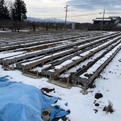 伐採　抜根　農地の整備、果樹棚撤去 − 長野県