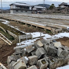 伐採　抜根　農地の整備、果樹棚撤去 - 剪定/造園