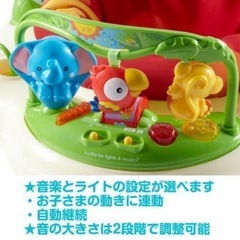 フィッシャープライス レインフォレストジャンパルーの画像