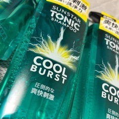 5224円で購入 本体4個　詰替4コ　サンスター　トニックシャンプー　ヘアケア　シャンプー　スカルプケアの画像